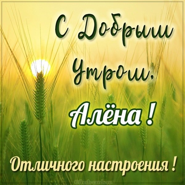 Красивая картинка с добрым утром Алена