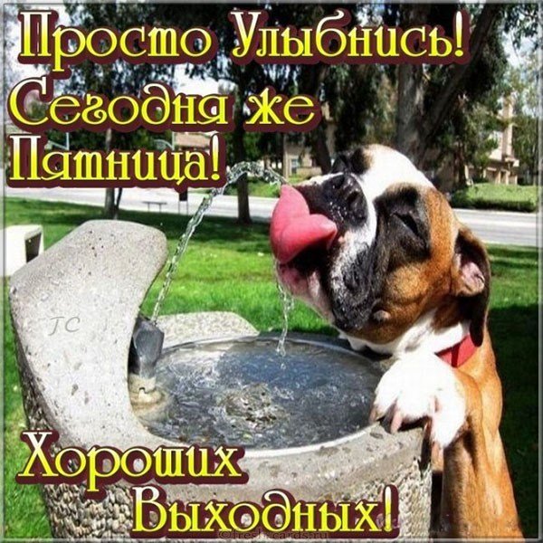 Красивая картинка с пятницей и хороших выходных