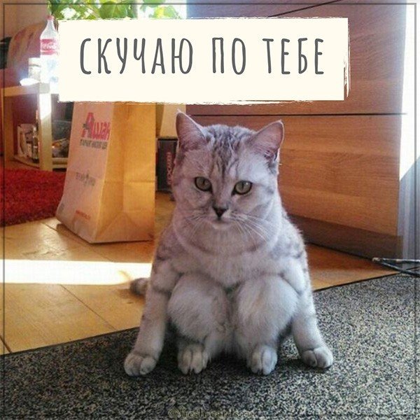 Красивая картинка скучаю по тебе