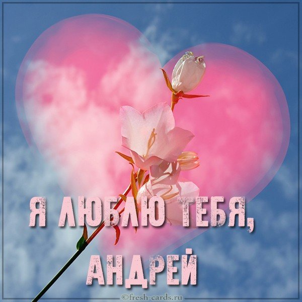 Красивая картинка я люблю тебя Андрей