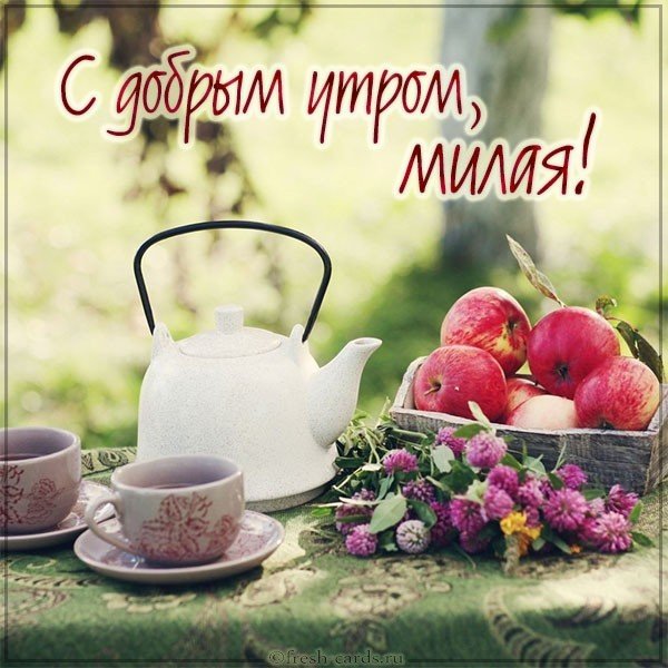 Красивая летняя открытка с добрым утром девушке