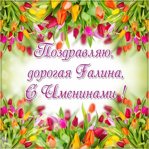 Красивая открытка с днем имени Галина