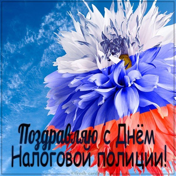 Красивая открытка с днем налоговой полиции