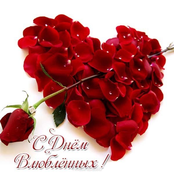 Красивая открытка с днем всех влюбленных