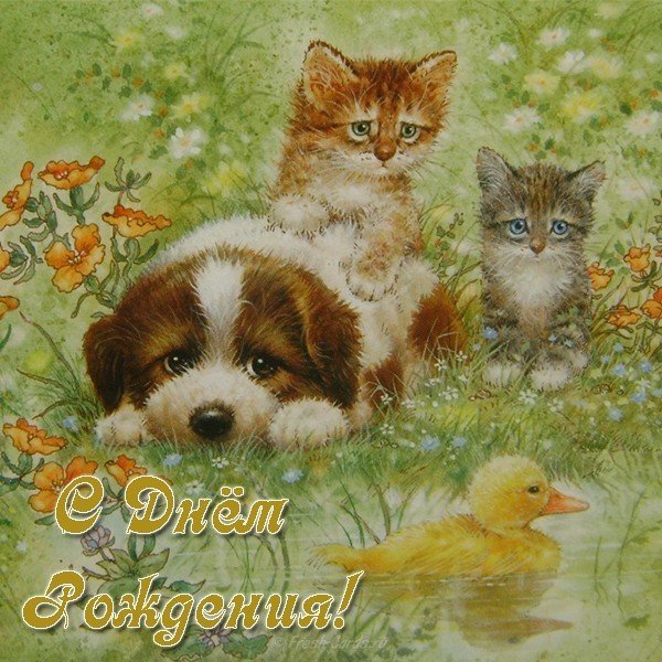 Красивая открытка с днём рождения с животными