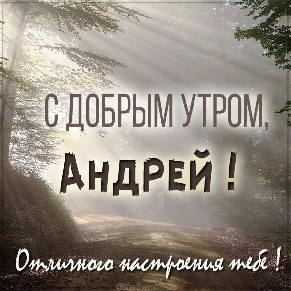 Красивая открытка с добрым утром Андрей