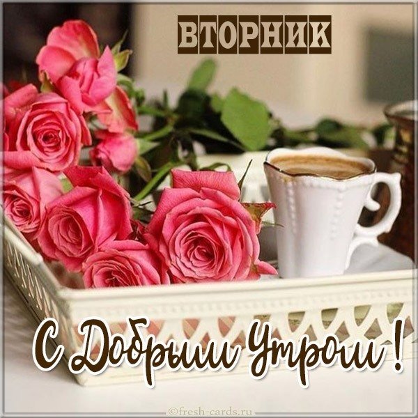 Красивая открытка с добрым утром вторника