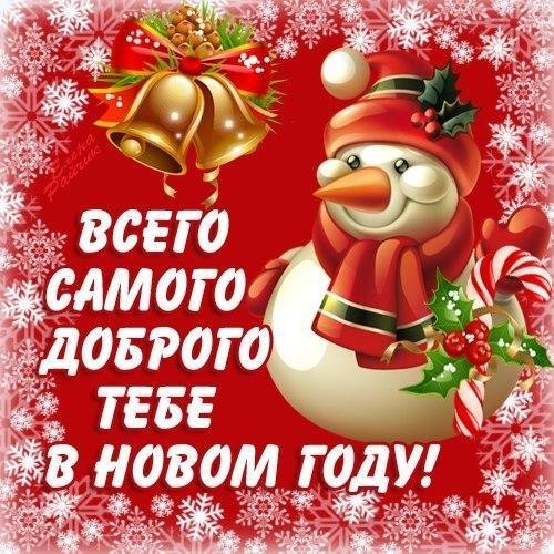 Красивая открытка с Новым Годом свиньи скачать