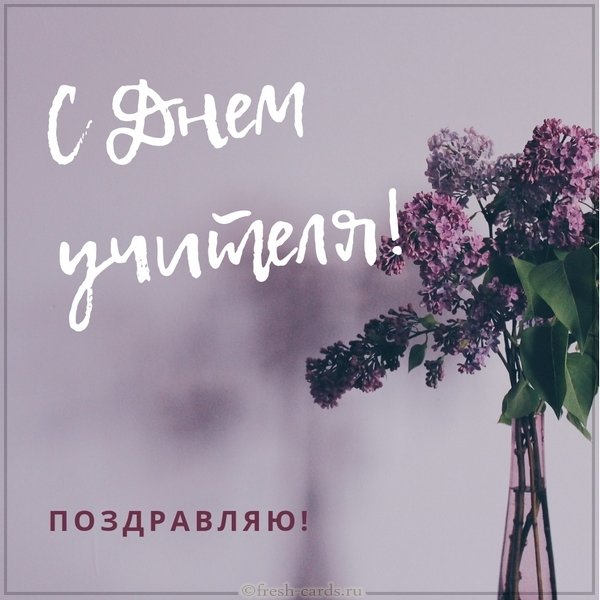 Красивая открытка с праздником днем учителя