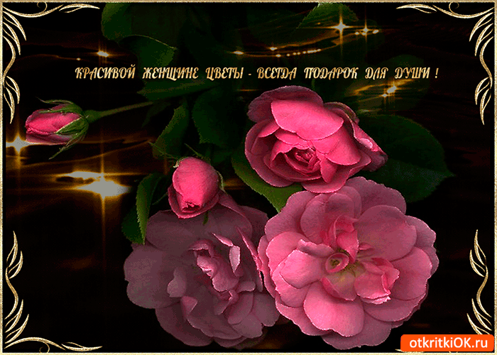 Красивой женщине цветы всегда подарок для души