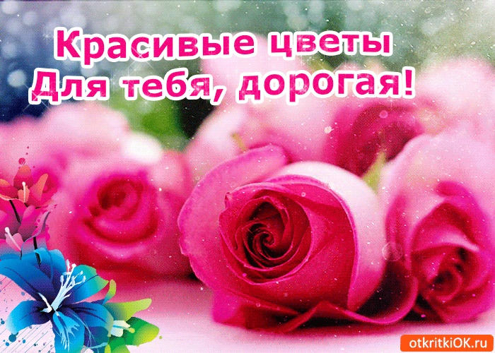 Красивые Цветы Для Тебя, дорогая!