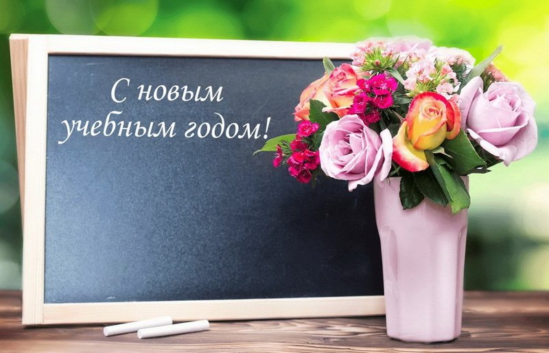 Красивые цветы к новому учебному году
