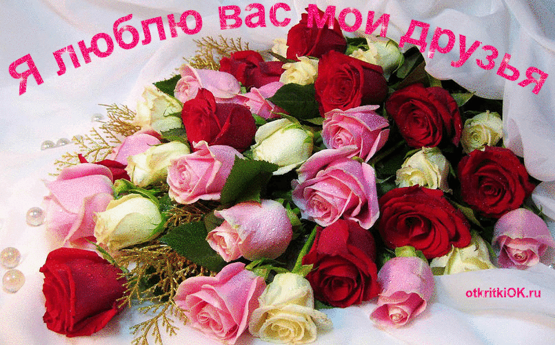 Красивые цветы