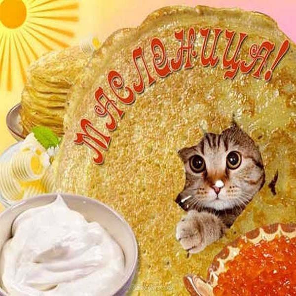 Масленица юмор картинка