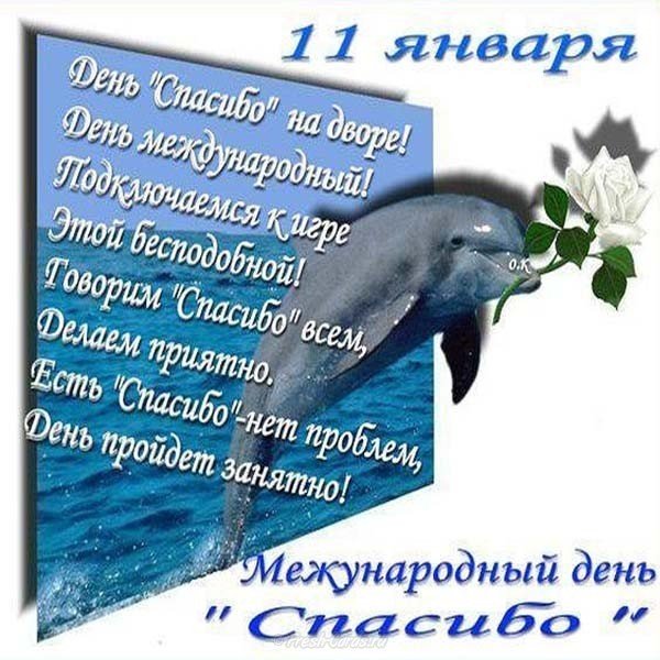 Международный день спасибо 11 января поздравление
