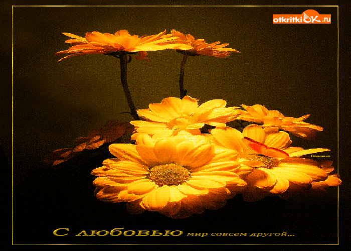 Мир совсем другой