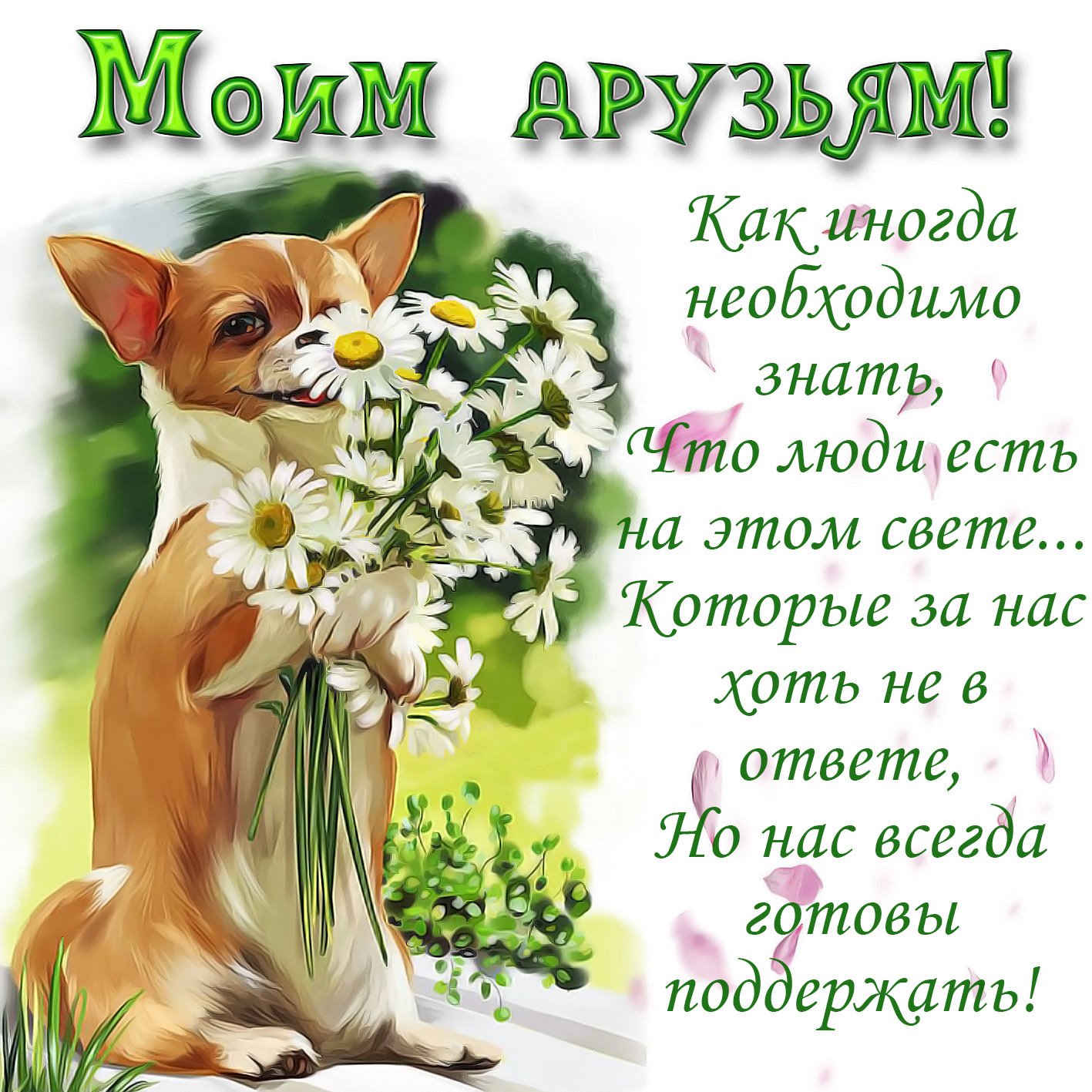 Моим дорогим  друзям 