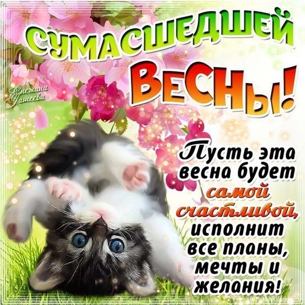Начало весны открытка прикольная
