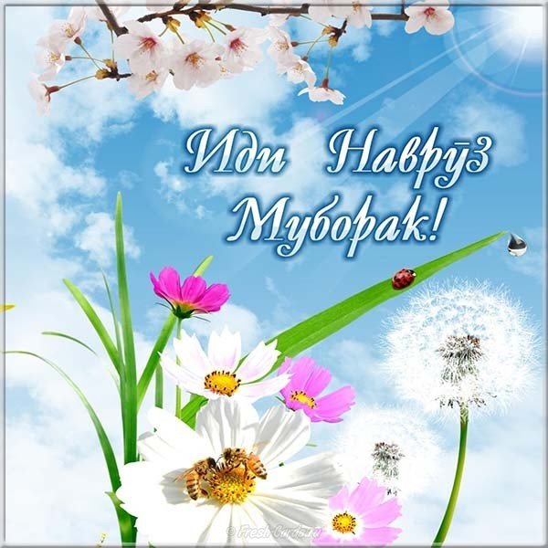 навруз муборак картинка