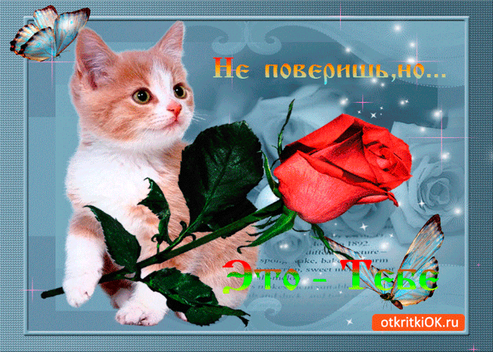 Не поверишь но это тебе
