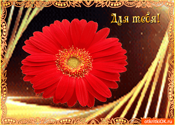 Нежный цветок только для тебя