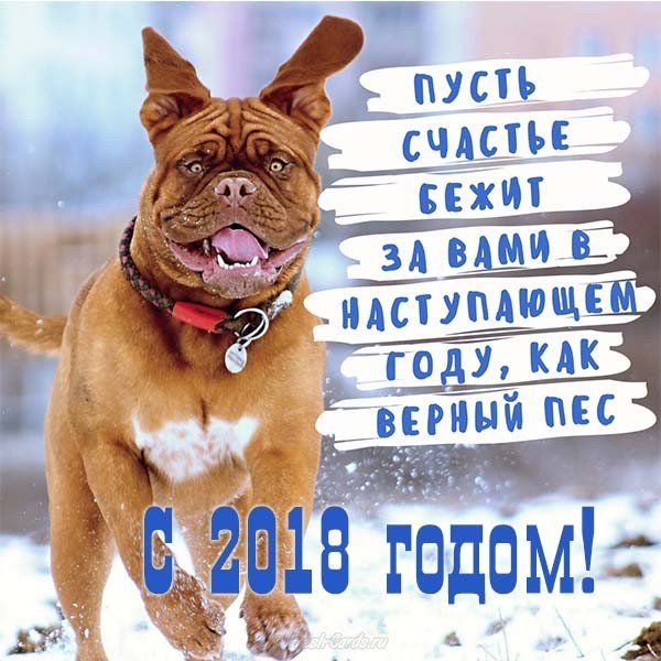 Новогодний прикол фото 2018