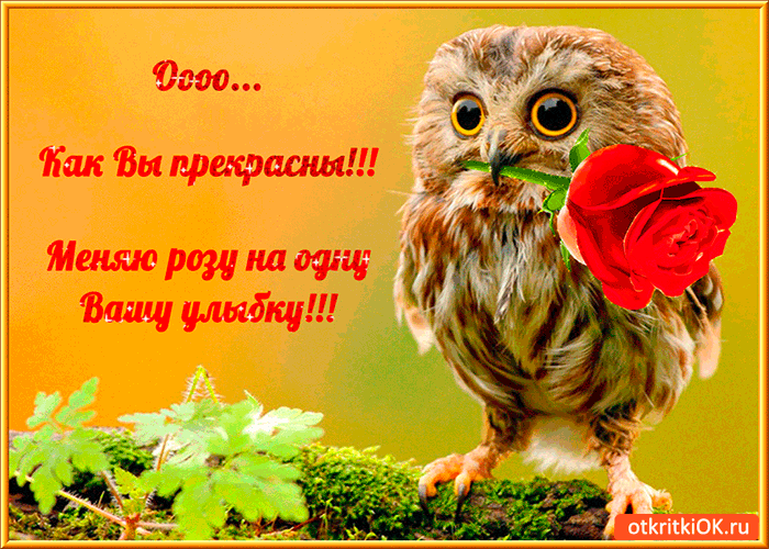 О как вы прекрасны