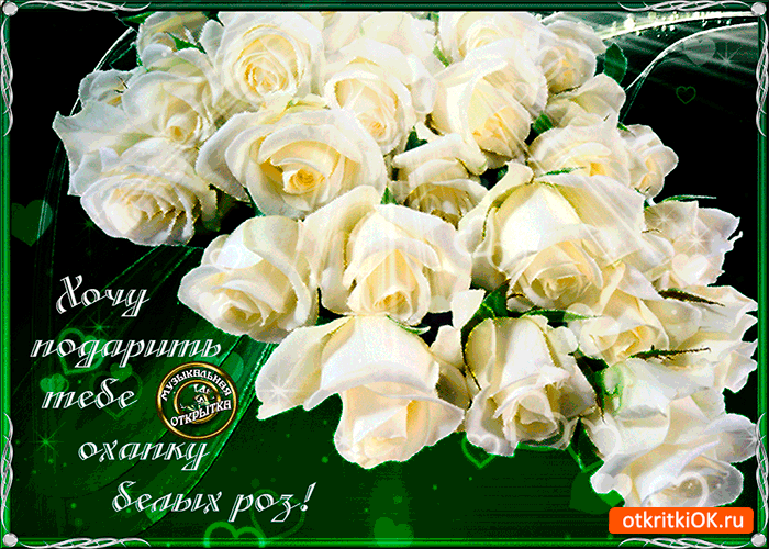 Охапка белых роз