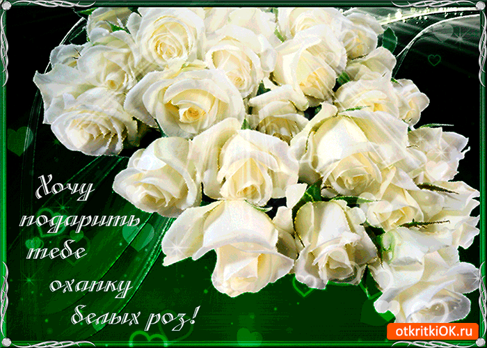 Охапку белых роз дарю