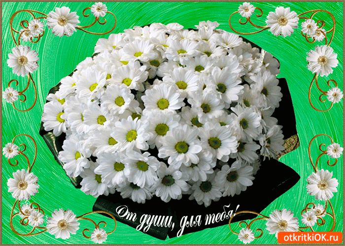 От души для тебя нежные ромашки От души для тебя нежные ромашки