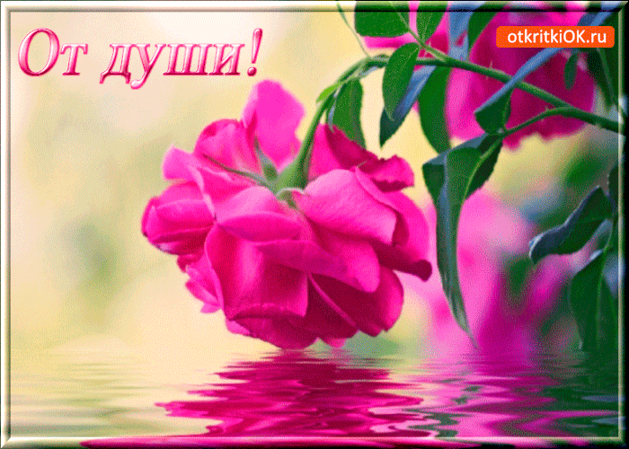 От души тебе цветочек
