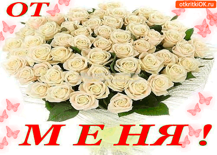 От меня большой белый букетик От меня большой белый букетик