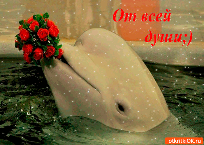 От всей души, букет нежных роз