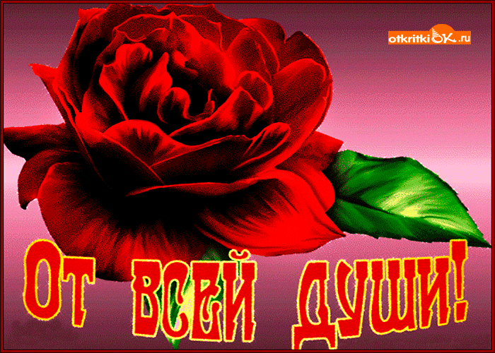 От всей души тебе от меня цветок