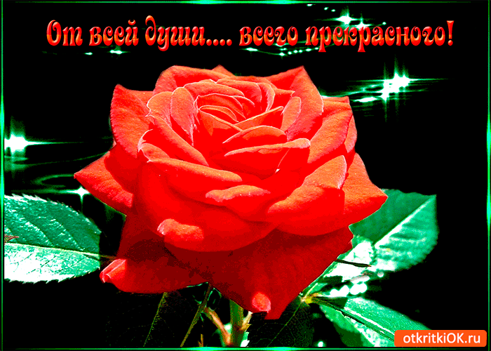 От всей души всего прекрасного От всей души всего прекрасного