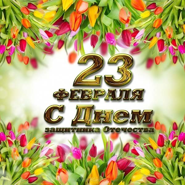 Открытка 23 февраля цветы