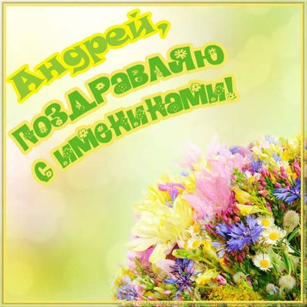 Открытка Андрею на именины