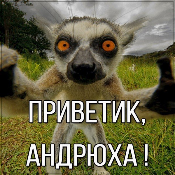 Открытка Андрюха приветик