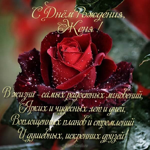 Открытка бесплатная с днем рождения Женя женщина
