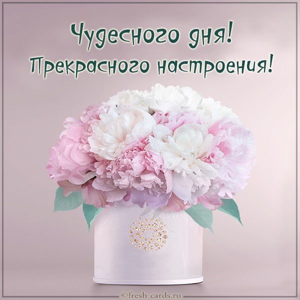 Открытка чудесного дня прекрасного настроения