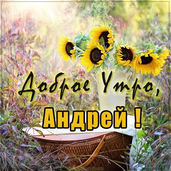 Открытка доброе утро Андрей