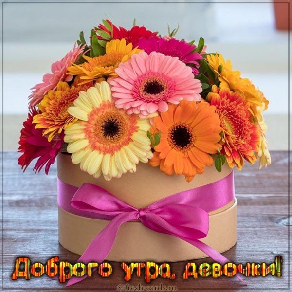 Открытка доброе утро девочки