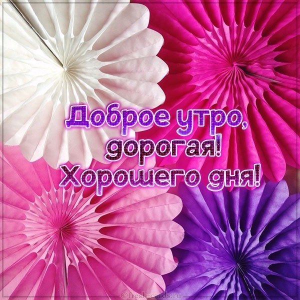 Открытка доброе утро дорогая хорошего дня