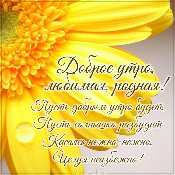 Открытка доброе утро любимая родная