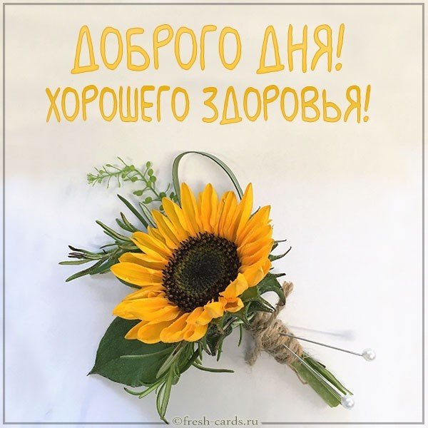 Открытка доброго дня и хорошего здоровья