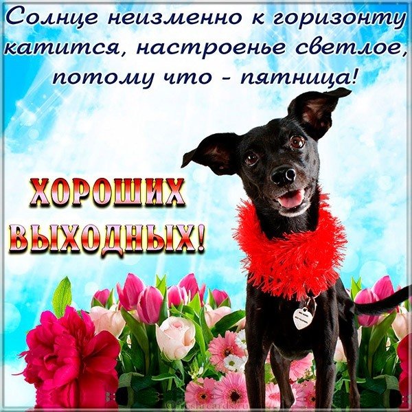 Открытка доброй пятницы хороших выходных