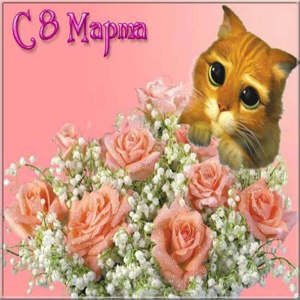 Открытка электронная с 8 марта прикольная смешная