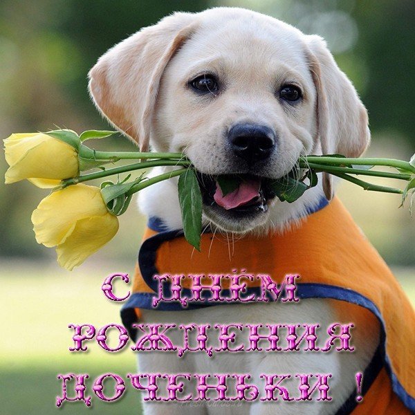 Открытка фото с днем рождения доченьки
