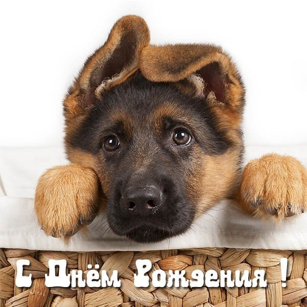 Открытка и картинка с днём рождения женщине