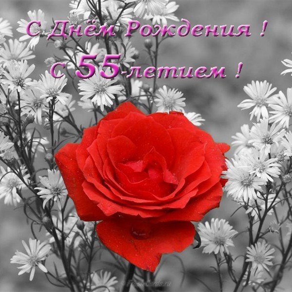 Открытка к 55 летию женщине